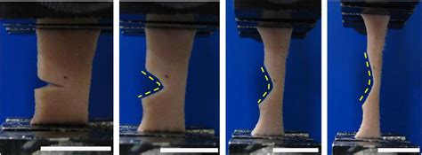 human skin torsion testing